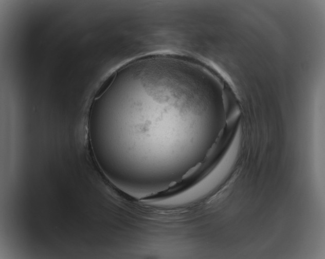 X0000089661367200706281314