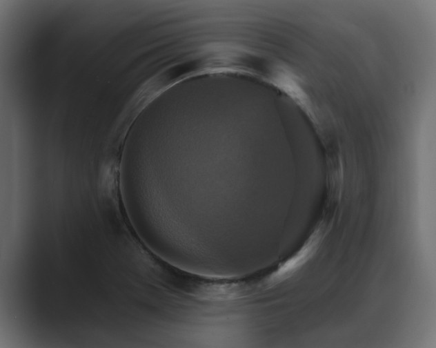 X0000089661369200706281314