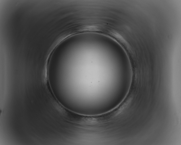 X0000089661370200706281313