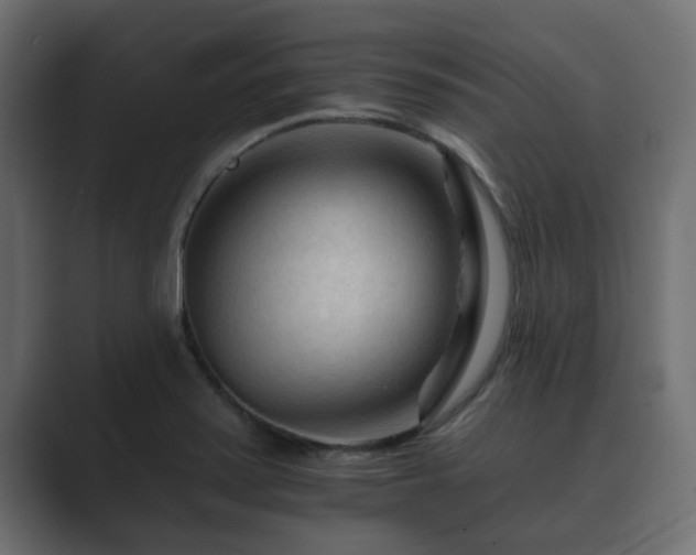 X0000089661371200706281313
