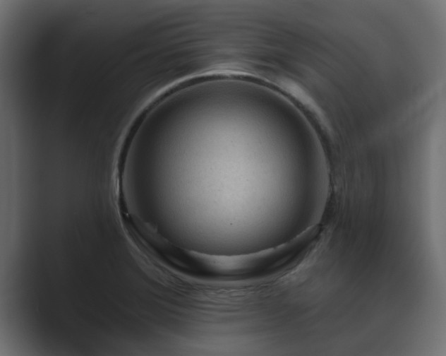 X0000089661372200706281313