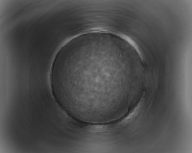 X0000089661373200706281313