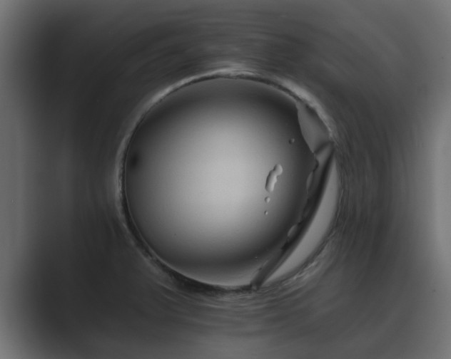 X0000089661375200706281313