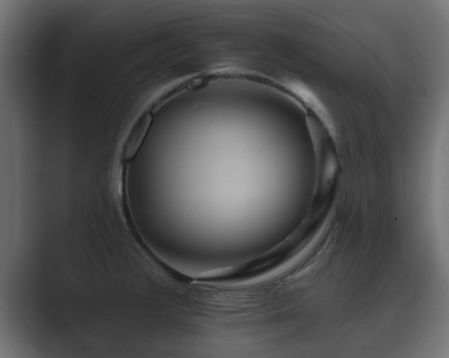 X0000089661376200706281313