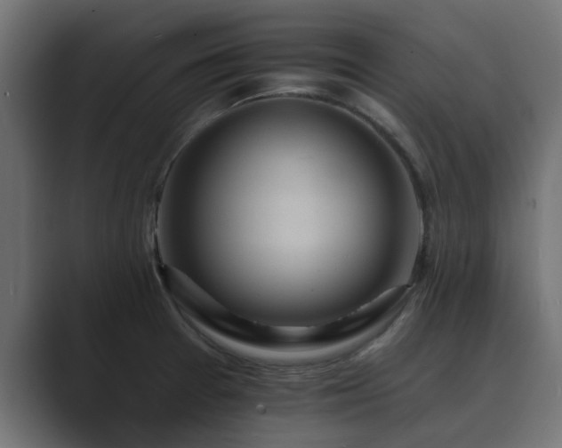 X0000089661377200706281313
