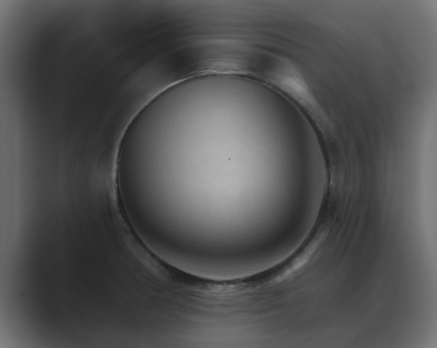 X0000089661378200706281313