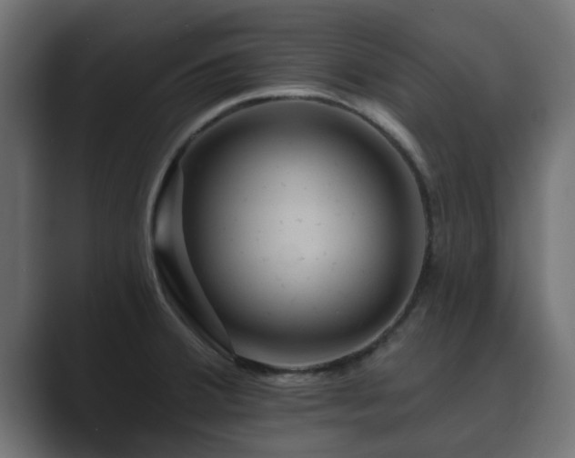X0000089661380200706281313