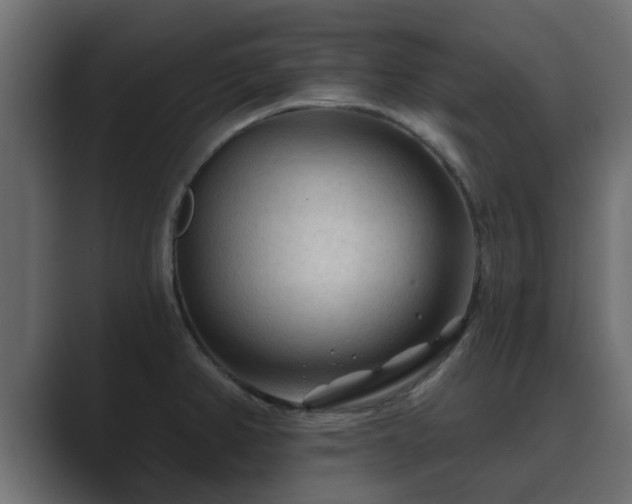 X0000089661382200706281313