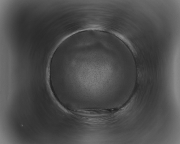 X0000089661383200706281313