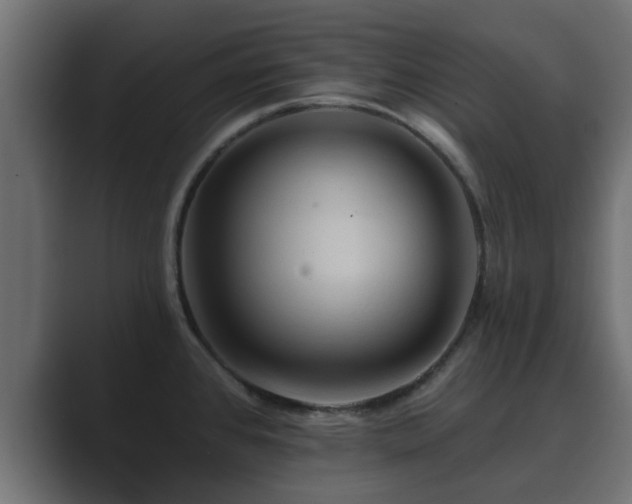 X0000089661384200706281313