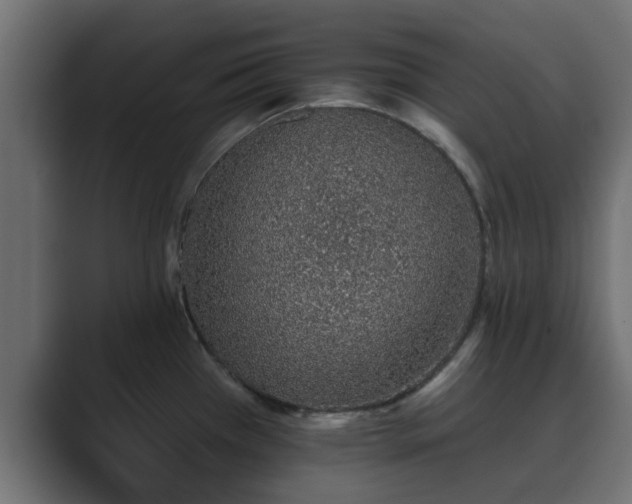 X0000089661385200706281313