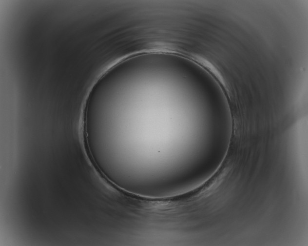 X0000089661387200706281313