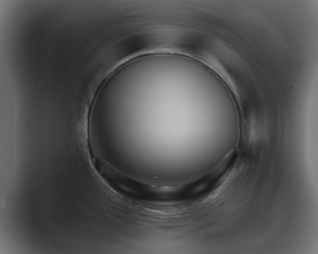 X0000089661388200706281313