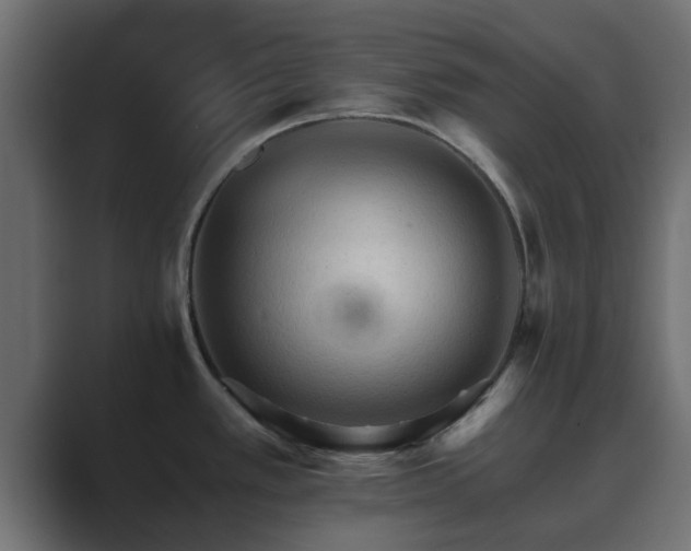 X0000089661389200706281313