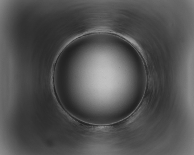 X0000089661390200706281313