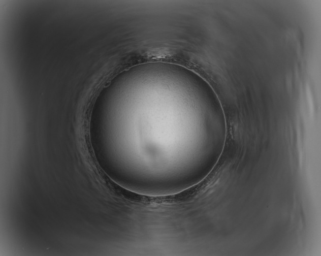 X0000089661393200706281313