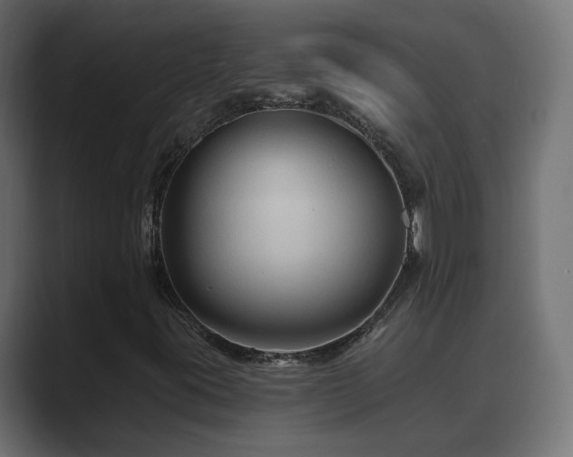 X0000089661395200706281313