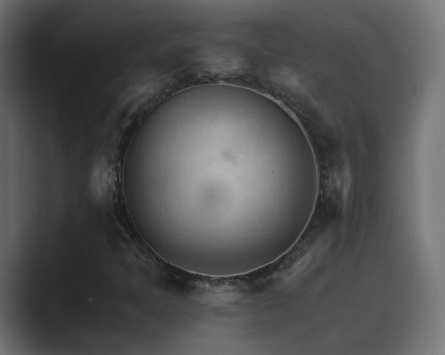 X0000089661397200706281313