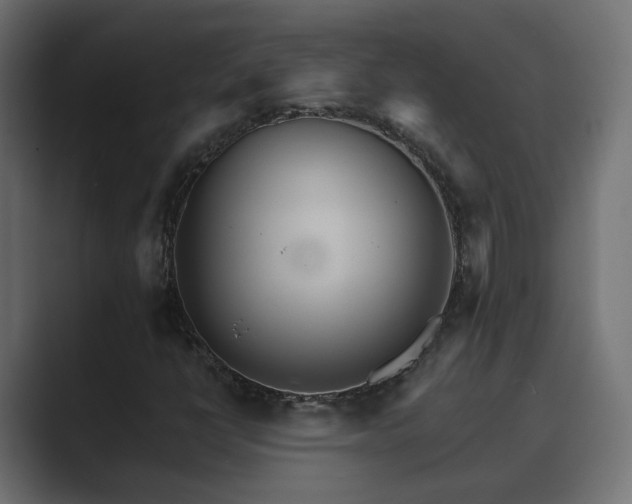 X0000089661398200706281313
