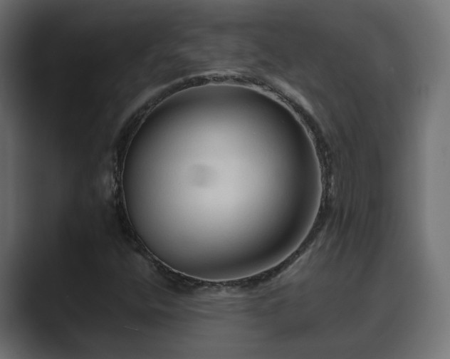 X0000089661400200706281313