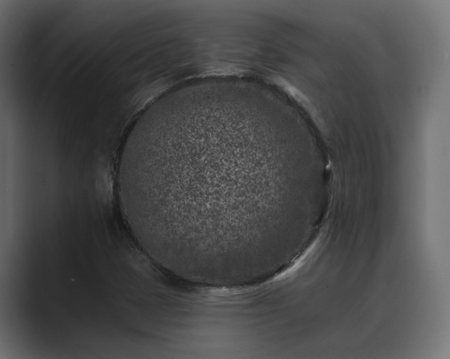 X0000089661401200706281313