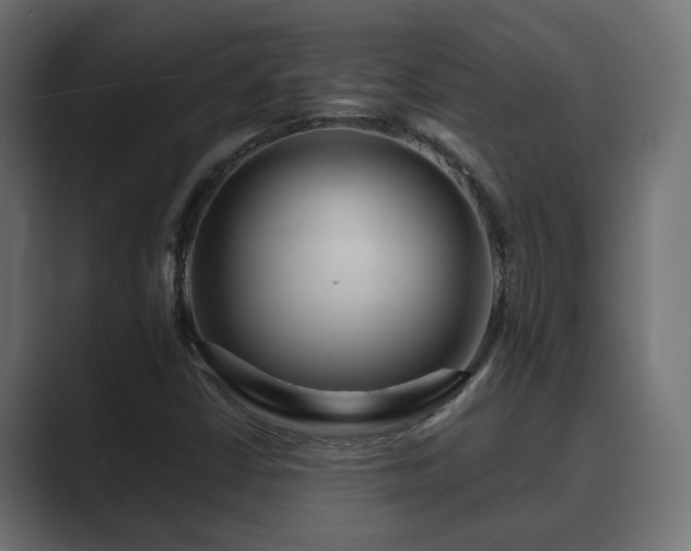 X0000089661402200706281313