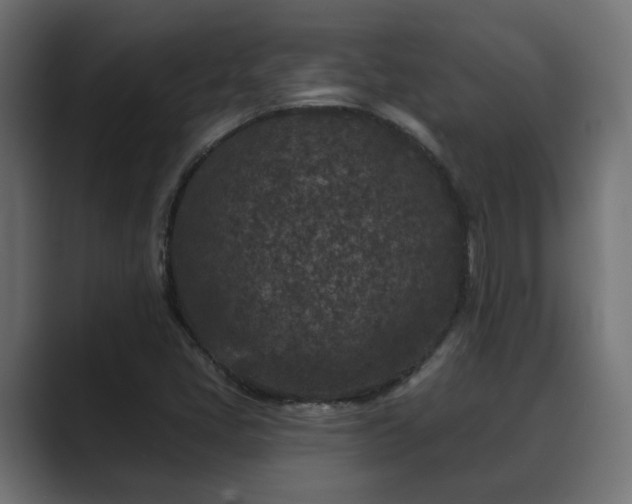 X0000089661405200706281313