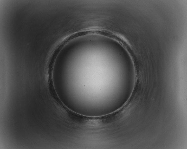 X0000089661406200706281313