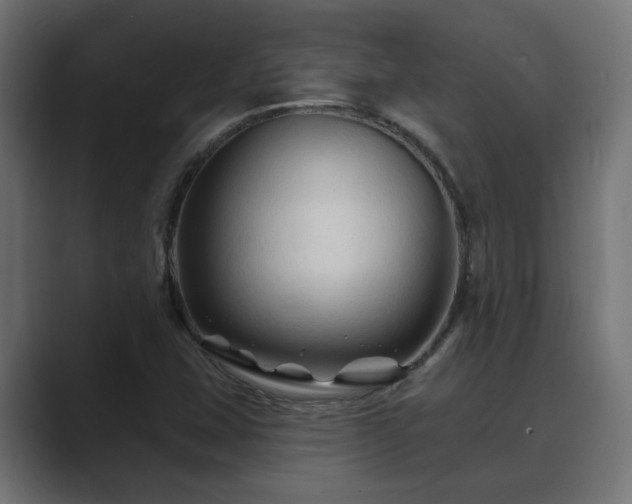 X0000089661407200706281313