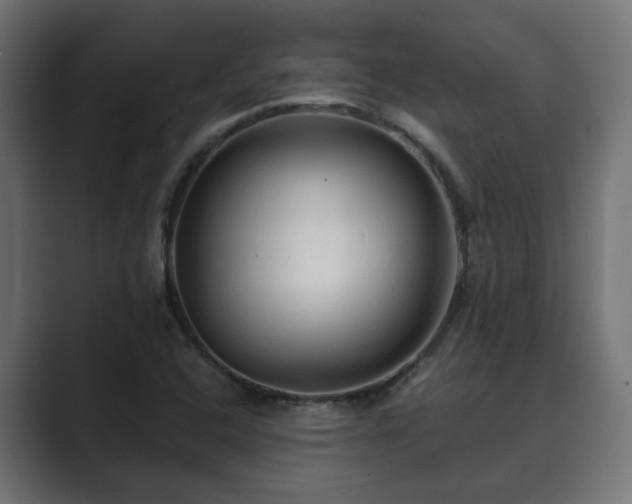 X0000089661408200706281313