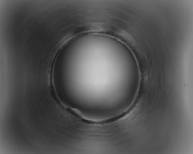 X0000089661409200706281313