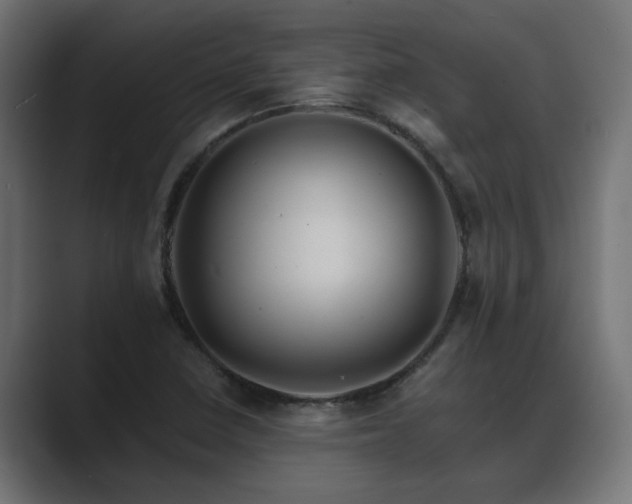 X0000089661410200706281313