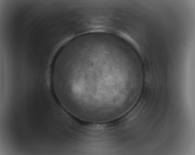 X0000089661411200706281313