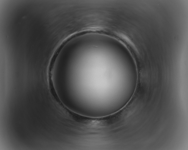 X0000089661412200706281313