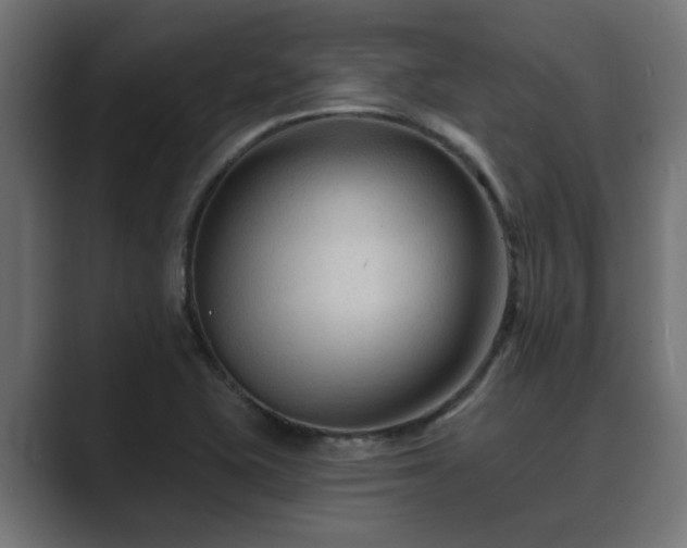X0000089661415200706281313