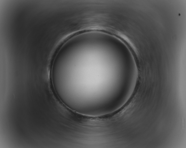 X0000089661416200706281313