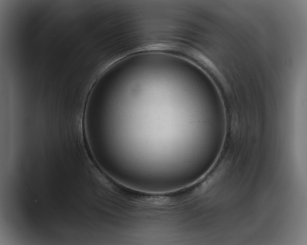 X0000089661417200706281313