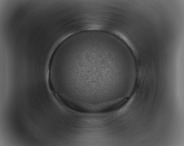 X0000089661418200706281313