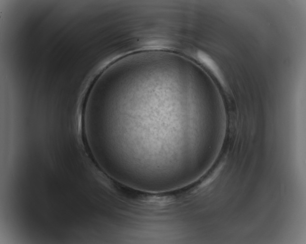 X0000089661419200706281313