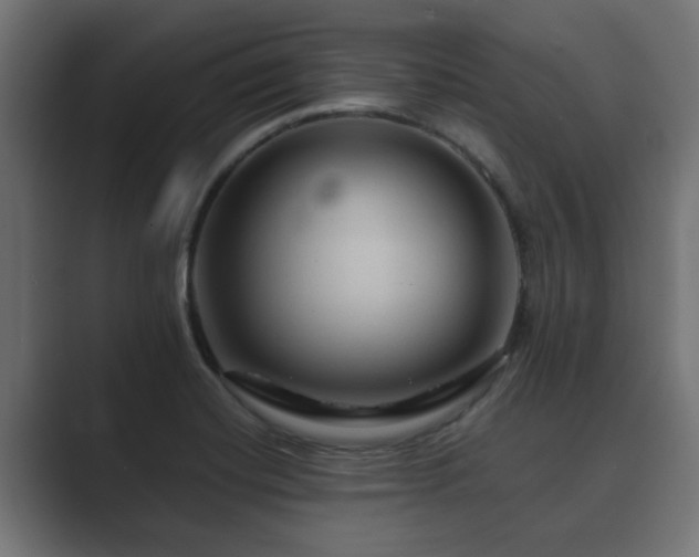 X0000089661420200706281313