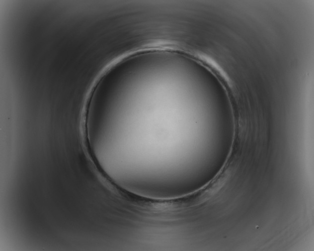 X0000089661421200706281313