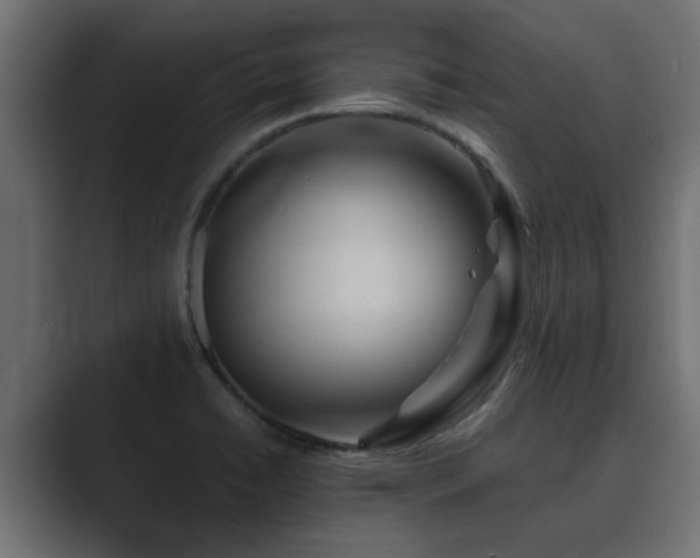 X0000089661422200706281313