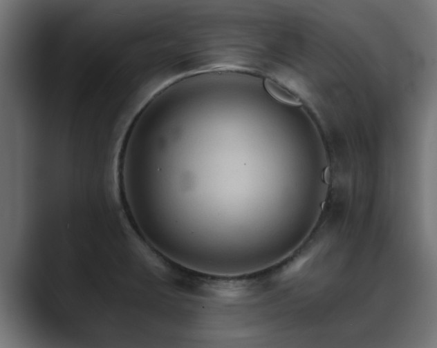 X0000089661423200706281313