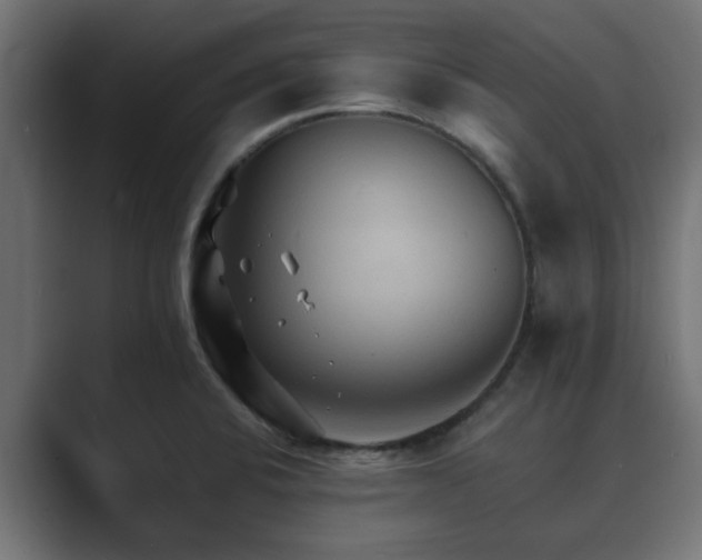 X0000089661424200706281313