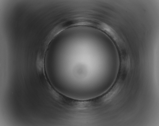X0000089661425200706281313