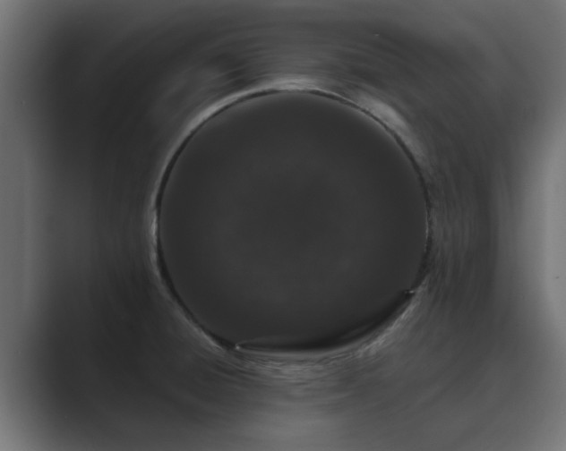 X0000089661428200706281313