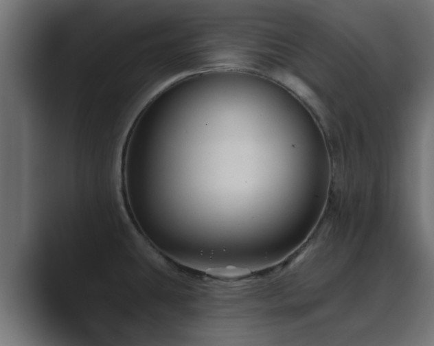 X0000089661431200706281313