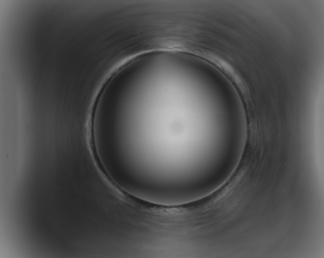 X0000089661432200706281313