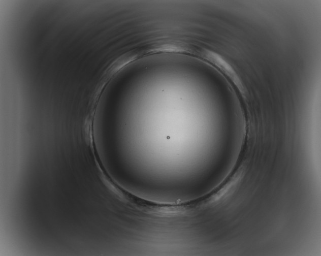 X0000089661433200706281313