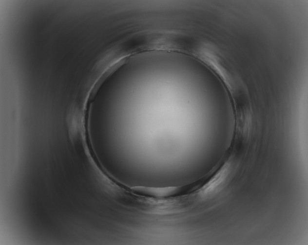 X0000089661434200706281313